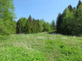 _exp0525_05.jpg (159901 bytes)