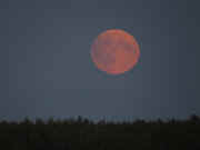 _moonecl25_08.jpg (23252 bytes)