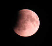 _moonecl25_15.jpg (25191 bytes)