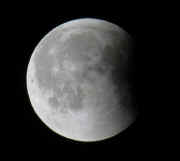 _moonecl25_24.jpg (29672 bytes)